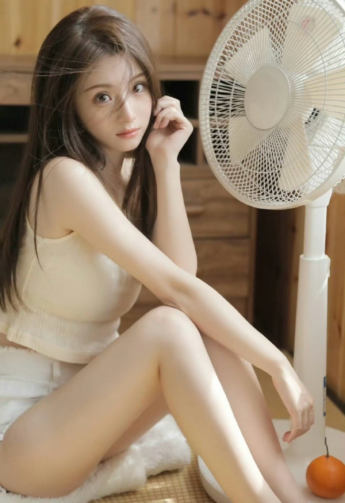 理智与情感 封面